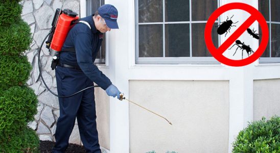 Diyadin Hamam Böceği İlaçlama böcek ilaçlama ve haşere kontrolü — ilaclama-tr.com